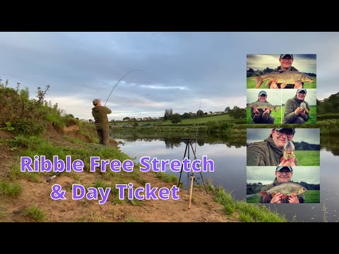 Barbel Fishing River Ribble Free Stretch and Day Ticket