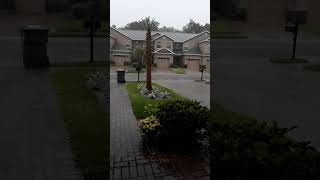 #floridafun #nokomisovka #florida