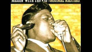 Junior Wells - She's a Sweet One