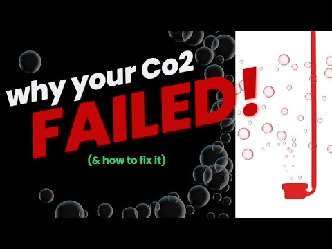 7 Reasons Your Aquarium CO2 is FAILING