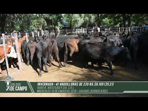 Resumen del Remate de Hugo R. Aristegui - Miércoles 10 de Enero de 2018 - Cacharí