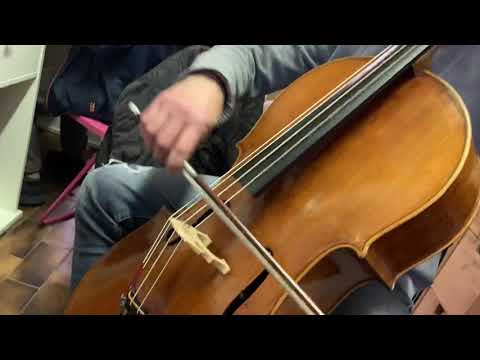 Modern cello installed with two whole unsplit lamb gut strings (HU)  and two wound FU strings