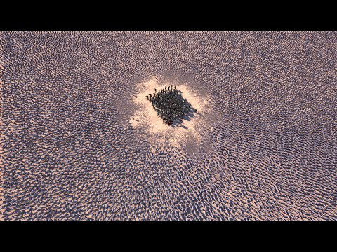 100 MODERN SOLDIERS vs 100.000 CHICKENS - Ultimate Epic Battle Simulator