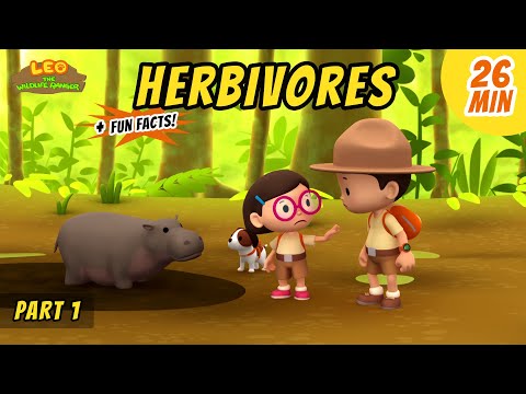 Herbivores (Part 1/3) - Animals Stories for Kids | Educational | Leo the Wildlife Ranger