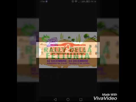 RALLY DELLA FETTUNTA 2017