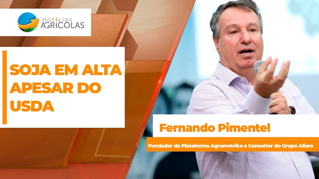 FECHAMENTO DE MERCADO DA SOJA - EDIÇÃO 30/06/2026