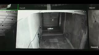 Download lagu Tehnik mematikan suara pada saat Bw mau pulang ada 2 tahapan..lihat tayang berikut.. mp3