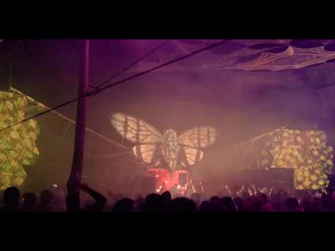 Tom Cosm DJ set at Twisted Frequency Festival NYE 2019/2020