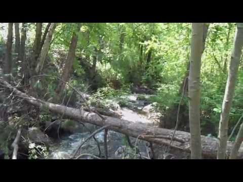 Where does gold deposit.  Finding gold on a small creek.