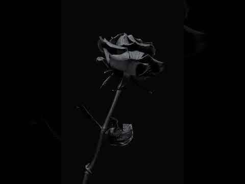 Atakan Stress ft Ef-Derman