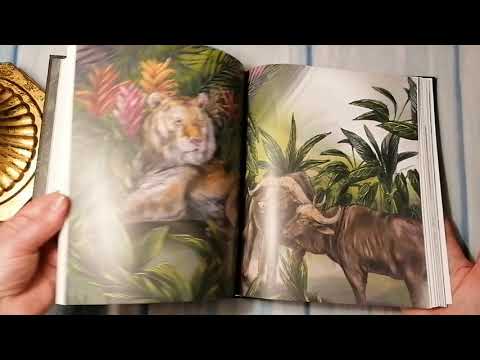 Миниатюра изображения товара Книга Стрекоза Маугли / 9785995144786 (Киплинг Р.)