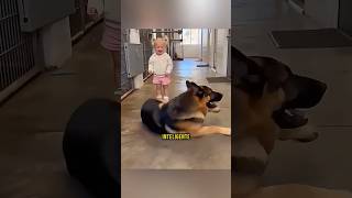 Este Cachorro conquistou a confiança dessa Garota ❤️