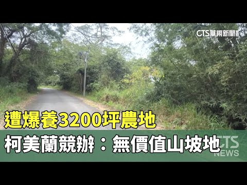 遭爆養3200坪農地　柯美蘭競辦：無價值山坡地