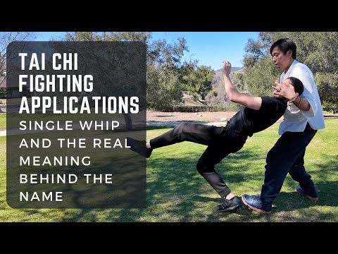 Tai Chi Fighting Application - Single Whip and The Secret of the Whip