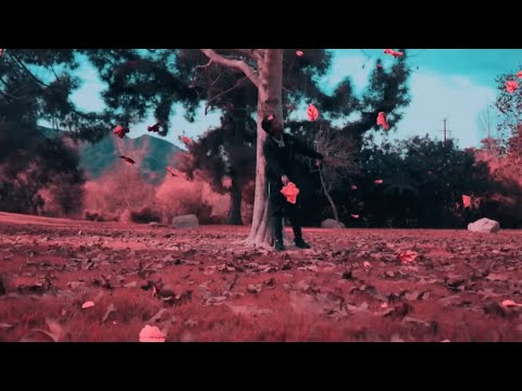 Yhung T.O - Diamonds (Official Music Video)