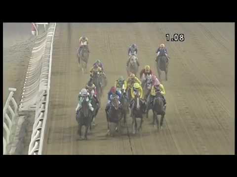 2017.05.10 Haneda Cup (JPN) - Captain King