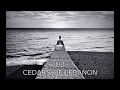 U2 - Cedars Of Lebanon (lyrics)