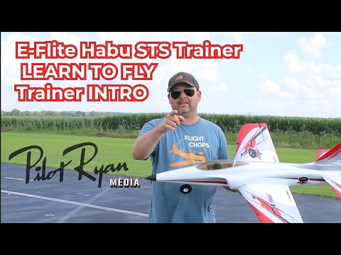 E-flite Habu STS (Smart Trainer w/SAFE) 70mm EDF FLIGHTS on 3S and 4S