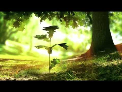 download lagu mp3 mp4 Musica Sobre Familia, download lagu Musica Sobre Familia gratis, unduh video klip Download Musica Sobre Familia Mp3 dan Mp4 Full Gratis