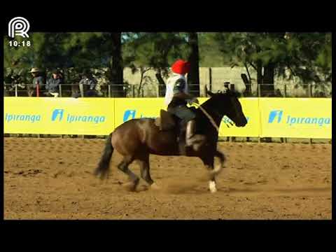 Classificatória Região Norte – 1° lugar fêmeas – Cambraia Cala Bassa (Prova: Bayard/Sarmento)