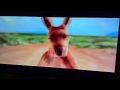 Opening To Kangaroo Jack 2003 DVD Australia