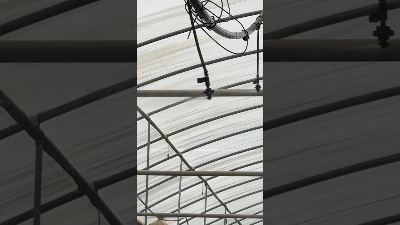 Overhead irrigation system #satisfying #shorts