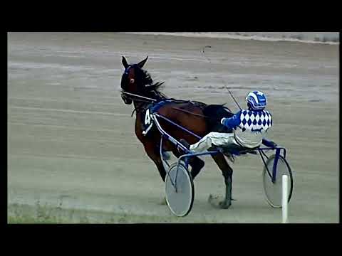 Napoli Trotto 21/01/2022 - 3ª corsa