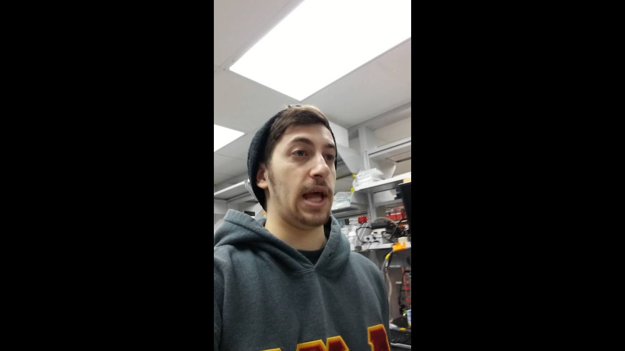 Introduction to a Biophysics Lab: Protein Folding