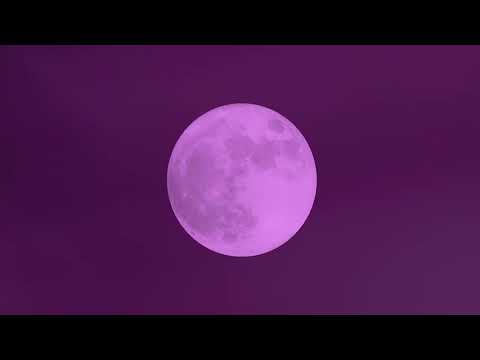 shy ink & Kish - Mudiwa [Visualiser]