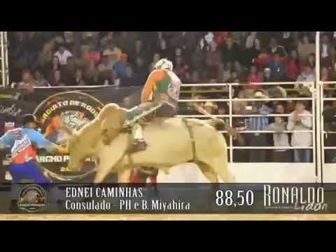 EDNEI CAMINHAS - CRP 2014