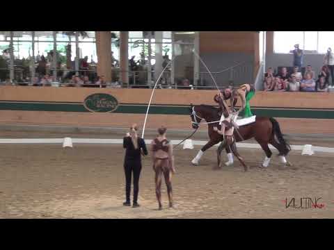 VV Koln Dunnwald II (GER), CVIO Ebreichsdorf 2019