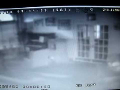 Palmer House Hotel Video 4