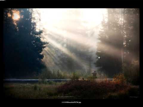 The Daily Critique (11/13/09) TMELive.com