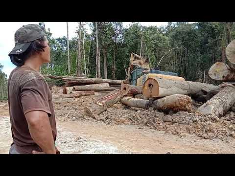 PT wijaya sentosa  gali mumek