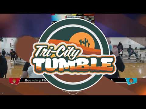 Tri-City Tumble 4 - Loser's Top 8 - Bouncing_Fish vs. Zark