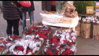 in-piazza-le-stelle-dell-ail-parla-il-presidente-mottola