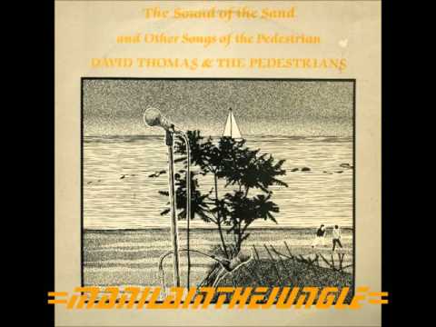 DAVID THOMAS & The PEDESTRIANS - The Crickets In The Flats (1981)