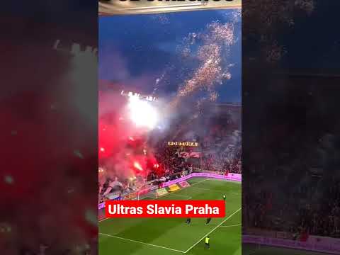 Slavia Praha at home to Viktoria Plzen today.😱🇨🇿👏 #ultras #youtubeshorts
