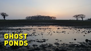 Bringing 'ghost' and 'zombie' ponds back from the dead