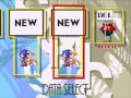 Sonic The Hedgehog 3 Music - Data Select (Alternative)