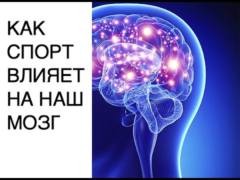 Новости науки 2020: как спорт влияет на активность нашего мозга