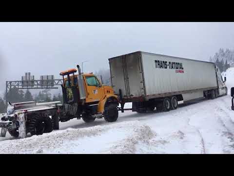 Siskiyou Grapevine