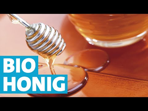 Bio-Honig aus der Eifel - Wie Imker mit und von den Bienen leben. | Essgeschichten | SWR Fernsehen