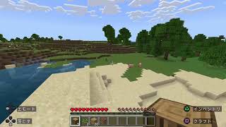 最近流行ってると聞いて。マイクラハードコア