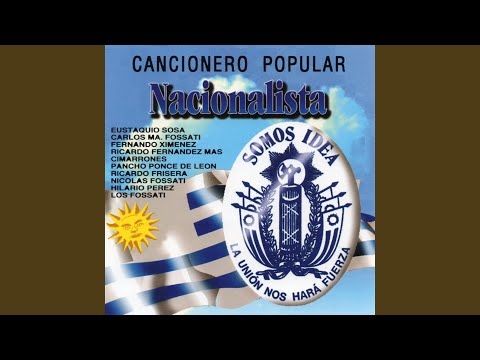 Servidor de Pluma y Lana