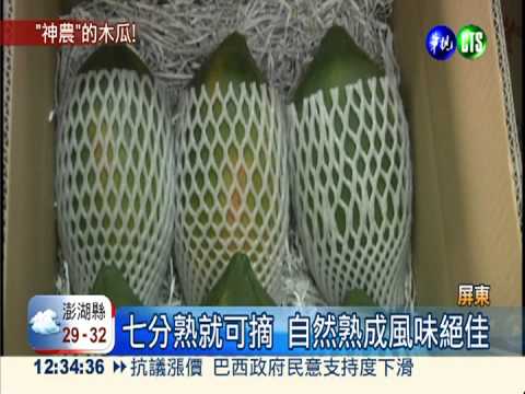 評選最有營養水果 木瓜當之無愧