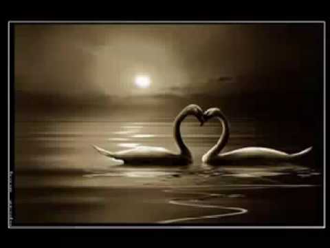 Stefan Hrusca Fostele iubiri