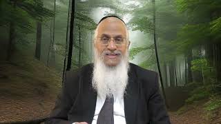 פורים-הושיעני מפי אריה (הרב יורם סרי) - התמונה מוצגת ישירות מתוך אתר האינטרנט יוטיוב. זכויות היוצרים בתמונה שייכות ליוצרה. קישור קרדיט למקור התוכן נמצא בתוך דף הסרטון