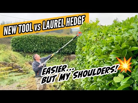 25.29 I Tackled My Laurel Hedge… This New Tool Helped (But My Shoulders Paid the Price!)