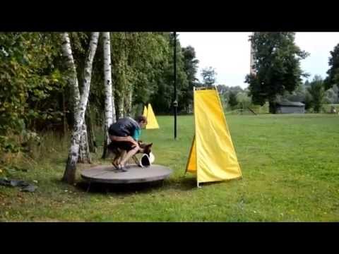 CHARLIE Z ÚDOLÍ ÚPY - protection, 10 months